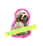 あいどる Peco part.1（個別スタンプ：6）