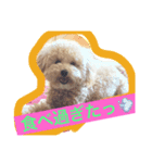 あいどる Peco part.1（個別スタンプ：7）