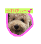 あいどる Peco part.1（個別スタンプ：8）