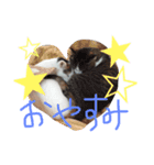 TRMにゃんず（個別スタンプ：8）