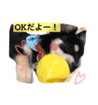 みゆのスタンプ②（個別スタンプ：5）