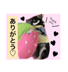 みゆのスタンプ②（個別スタンプ：6）