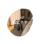 ホクのつぶやき（個別スタンプ：7）