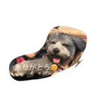 ホクのつぶやき（個別スタンプ：12）