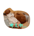 yuichin（個別スタンプ：5）