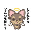 Angel Pet（個別スタンプ：17）