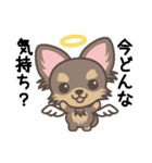 Angel Pet（個別スタンプ：19）