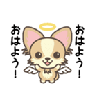 Angel Pet（個別スタンプ：21）