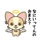 Angel Pet（個別スタンプ：24）