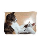 ねこ フレンド（個別スタンプ：7）