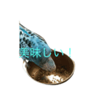 ポロンスタンプ（個別スタンプ：8）