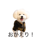 中村さん家のライムくん（個別スタンプ：2）