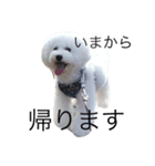 中村さん家のライムくん（個別スタンプ：3）