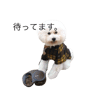 中村さん家のライムくん（個別スタンプ：5）