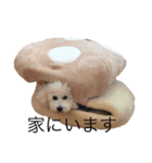 中村さん家のライムくん（個別スタンプ：6）