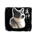 リアルムーコ＆ポコ（個別スタンプ：3）