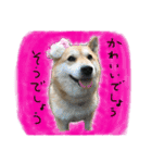 リアルムーコ＆ポコ（個別スタンプ：4）