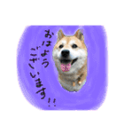 リアルムーコ＆ポコ（個別スタンプ：5）