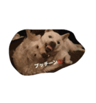 保護っ子スタンプ②（個別スタンプ：2）