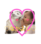 うちの娘と時々ねこのスタンプ①（個別スタンプ：2）