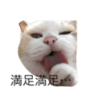どすこいのひとり言（個別スタンプ：14）