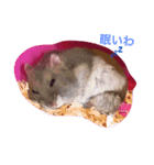 ネズミのまんたろう（個別スタンプ：2）