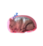 ネズミのまんたろう（個別スタンプ：4）