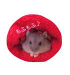 ネズミのまんたろう（個別スタンプ：5）