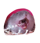ネズミのまんたろう（個別スタンプ：6）