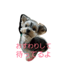 ヨキ助（個別スタンプ：4）
