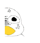 とりっぽいさん（個別スタンプ：17）