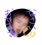 wanpakusumikastamp（個別スタンプ：12）