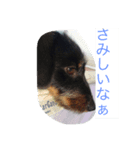 はる0718（個別スタンプ：1）