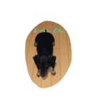 はる0718（個別スタンプ：8）