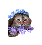 しらすともっぴとうに（個別スタンプ：6）