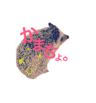 しらすともっぴとうに（個別スタンプ：22）