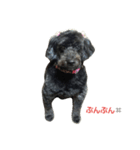 我が家の愛犬☆（個別スタンプ：8）
