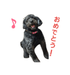 我が家の愛犬☆（個別スタンプ：23）