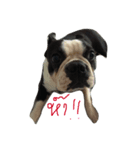 chuenjaixioun（個別スタンプ：2）