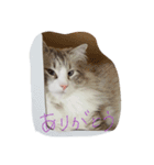 RiRii（個別スタンプ：4）