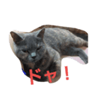 nekonokone（個別スタンプ：3）