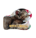 nekonokone（個別スタンプ：8）