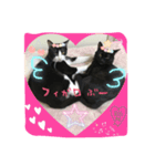 3nyans 1（個別スタンプ：1）