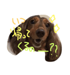 もんスタンプ（個別スタンプ：1）