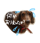 もんスタンプ（個別スタンプ：2）