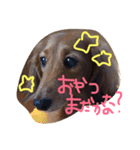 もんスタンプ（個別スタンプ：6）