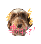 もんスタンプ（個別スタンプ：7）