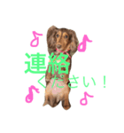 もんスタンプ（個別スタンプ：8）