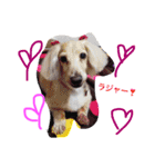 ライフスタイルlove1（個別スタンプ：4）