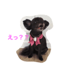 ライフスタイルlove1（個別スタンプ：11）
